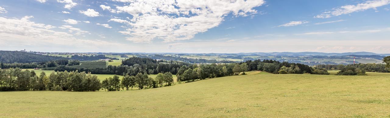 Landgasthof Diendorfer Hotel Haslach an der Mühl Esterno foto